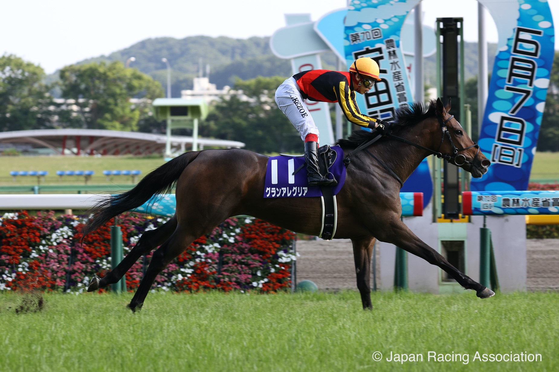 Gran Alegria's upset in Japan another feather in cap of her dam